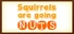 Squirrels are going nuts