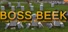 BOSS BEEK- Beekeeping Simulator