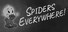Spiders Everywhere