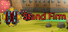 Stand Firm