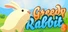 Greedy Rabbit