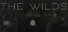 The WILDS
