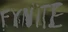 Fynite