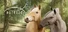 Astride