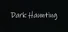 Dark Haunting