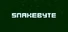 SnakeByte