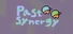 Past Synergy