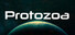 PROTOZOA