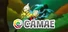 Camae