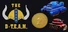The D-T.E.A.M.