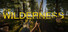 THE WILDERNESS