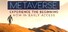 Metaverse