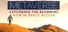 Metaverse