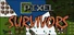 Pixel Survivors