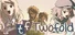 Twofold