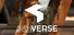 canVERSE