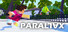 PARALLAX