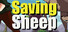 Saving Sheep
