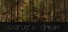 Svarog's Dream