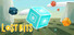 Lost Bits