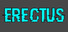 Erectus