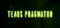 Telos Pragmaton