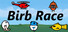 Birb Race