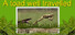 A toad well travelled