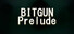 BITGUN Survivors