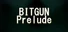 BITGUN Survivors