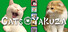 Cats Yakuza - Online card game