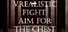VRealistic Fight: Aim For The Chest