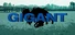 Gigant
