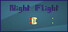 Night Flight