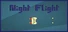 Night Flight