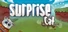 Surprise Cat