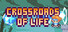 Crossroads of life