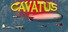 Cavatus