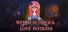 Witch Schools: Love Potions