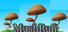 MushRun