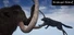 Wrangel Island
