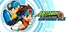 Mega Man Battle Network Legacy Collection Vol. 2