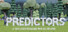 Predictors