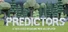 Predictors