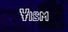 VISM