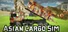 Asian Cargo Sim