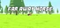 Far Away Horse