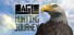 Eagle Hunting Journey