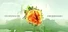 ArcheAge War