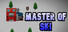 Master of Ski